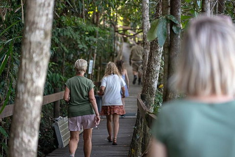Daintree Rainforest, Cape Tribulation And Bloomfield Track Small Group Tour - Attractions Sydney 15