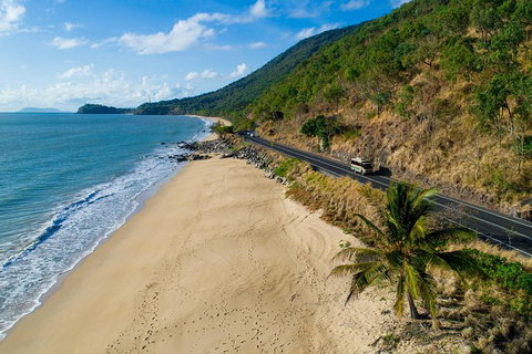 Daintree Rainforest, Cape Tribulation And Bloomfield Track Small Group Tour - Attractions Sydney 4