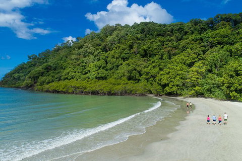 Daintree Rainforest, Cape Tribulation And Bloomfield Track Small Group Tour - Attractions Sydney 2