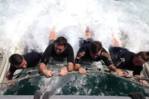 Cruise In Moreton Bay Marine Park And Moreton Island - Attractions Sydney 8