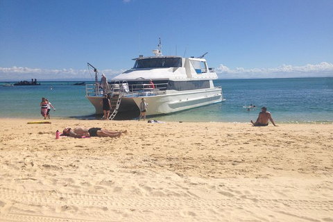 Cruise In Moreton Bay Marine Park And Moreton Island - Attractions Sydney 9