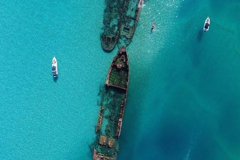 Cruise In Moreton Bay Marine Park And Moreton Island - Attractions Sydney 5