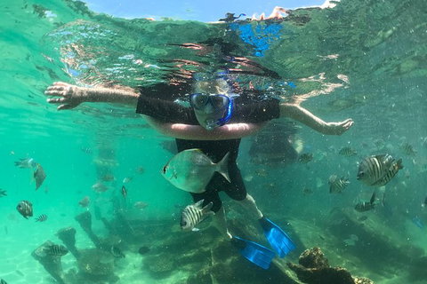 Cruise In Moreton Bay Marine Park And Moreton Island - Attractions Sydney 10