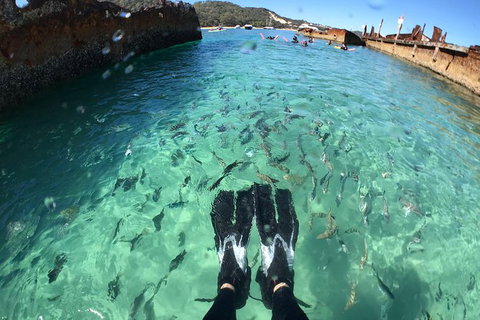 Cruise In Moreton Bay Marine Park And Moreton Island - Attractions Sydney 4