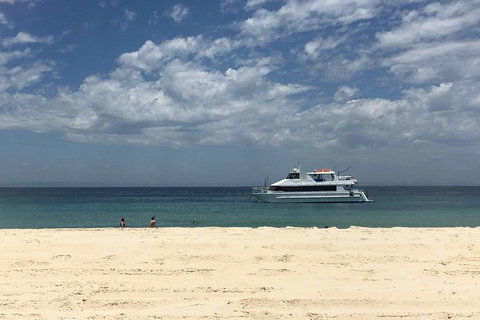 Cruise In Moreton Bay Marine Park And Moreton Island - Attractions Sydney 6