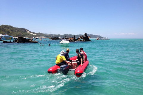 Cruise In Moreton Bay Marine Park And Moreton Island - Attractions Sydney 2