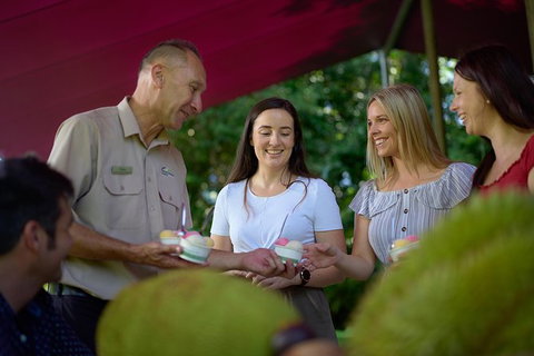 Daintree And Cape Tribulation Tour From Cairns - Attractions Sydney 1
