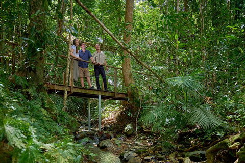Daintree And Cape Tribulation Tour From Cairns - Attractions Sydney 3