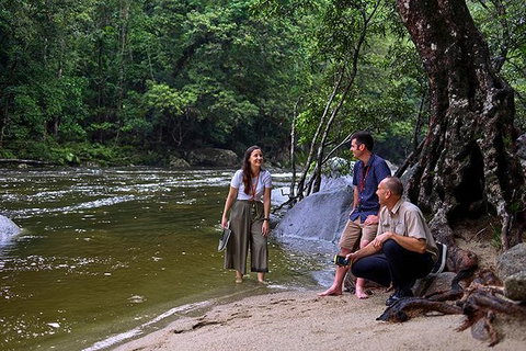 Daintree And Cape Tribulation Tour From Cairns - Attractions Sydney 2