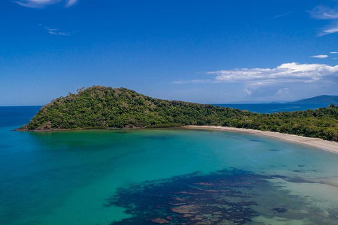 Daintree And Cape Tribulation Tour From Cairns - Attractions Sydney 7