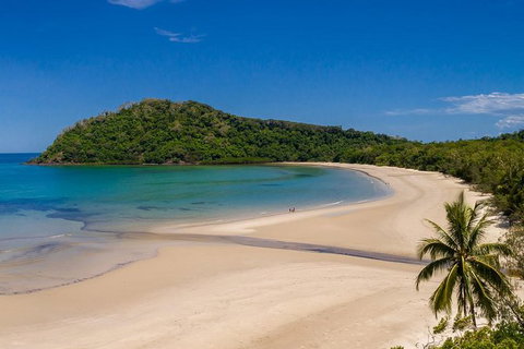 Daintree And Cape Tribulation Tour From Cairns - Attractions Sydney 8