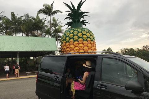 Private Transfer From Noosa To Sunshine Coast Airport- 8seater + Luggage Trailer - Attractions Sydney 3