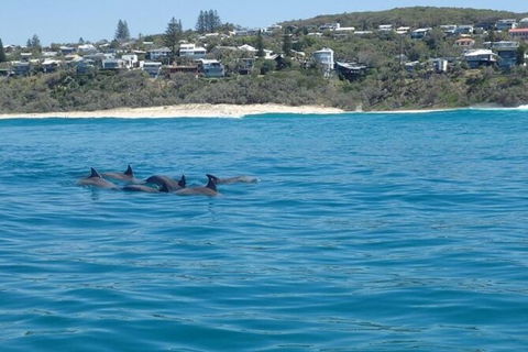 Noosa Thriller - 500hp Ocean Adventure Ride - Attractions Sydney 5