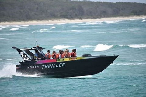 Noosa Thriller - 500hp Ocean Adventure Ride - Attractions Sydney 0