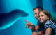 SEA LIFE Sunshine Coast Aquarium Entrance Ticket - thumb 0