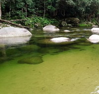 Afternoon Half-Day Daintree Rainforest and River Tour - Attractions Sydney