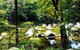 Cairns Daintree Rainforest And Cape Tribulation 2-Day Tour - thumb 0