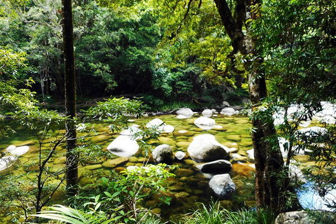 Cairns Daintree Rainforest And Cape Tribulation 2-Day Tour - Attractions Sydney 0