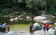 Cairns Daintree Rainforest And Cape Tribulation 2-Day Tour - thumb 9