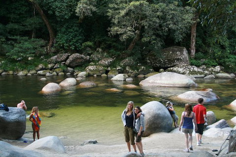 Cairns Daintree Rainforest And Cape Tribulation 2-Day Tour - Attractions Sydney 9