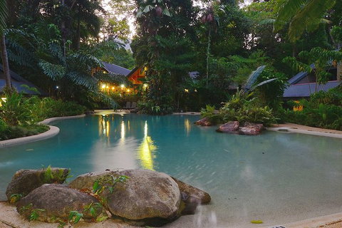 Cairns Daintree Rainforest And Cape Tribulation 2-Day Tour - Attractions Sydney 6