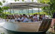 Cairns Daintree Rainforest And Cape Tribulation 2-Day Tour - thumb 1