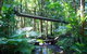 Cairns Daintree Rainforest And Cape Tribulation 2-Day Tour - thumb 8