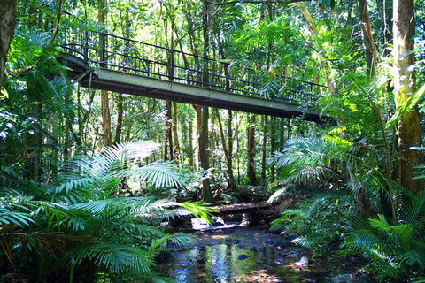 Cairns Daintree Rainforest And Cape Tribulation 2-Day Tour - Attractions Sydney 8