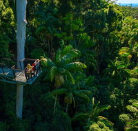 The Best of Tamborine Mountain from the Gold Coast - Attractions Sydney
