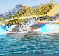 Gold Coast Quack'rDuck Amphibious Tour from Surfers Paradise - Attractions Sydney