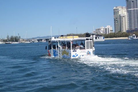 Gold Coast Quack\'rDuck Amphibious Tour From Surfers Paradise - Attractions Sydney 4