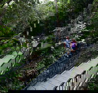 4-Day Cairns with Great Barrier Reef and Daintree Rainforest - Attractions Sydney