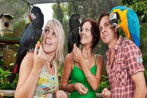 Kuranda Day Tour, TKS-3 Wildlife Gold 930 - Attractions Sydney 2