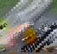 Small Group Tour Max 6 Gold Coast Super 7 Waterfalls Tour Springbrook - Attractions Sydney