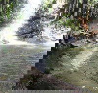 The Gold ExperiencePrivate Day Tour In Lamington National Park or Mt Tambourine