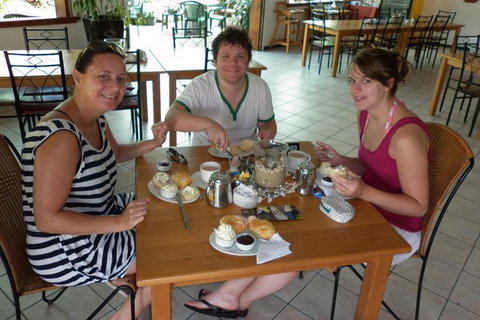 Morning Half Day Tour - Attractions Sydney 5