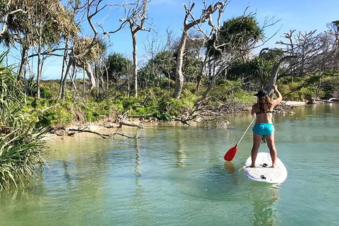 Early Morning Weekend Paddleboard Special - Attractions Sydney 5