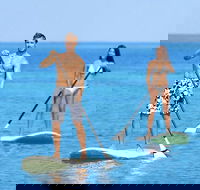 Stand Up Paddle Board Hire - Attractions Sydney