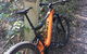 Kayak, EMtn Bike, Local Vineyard = Perfect Hinterland Day Tour - thumb 3