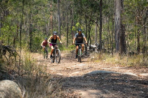 Kayak, EMtn Bike, Local Vineyard = Perfect Hinterland Day Tour - Attractions Sydney 13
