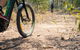 Kayak, EMtn Bike, Local Vineyard = Perfect Hinterland Day Tour - thumb 8