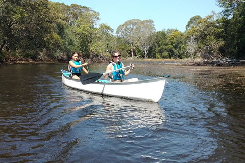 Noosa Hinterland Scenic Canoe Tour - Attractions Sydney 3