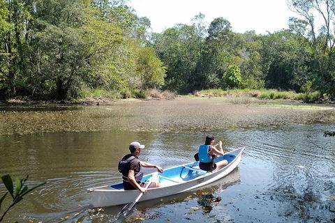 Noosa Hinterland Scenic Canoe Tour - Attractions Sydney 4