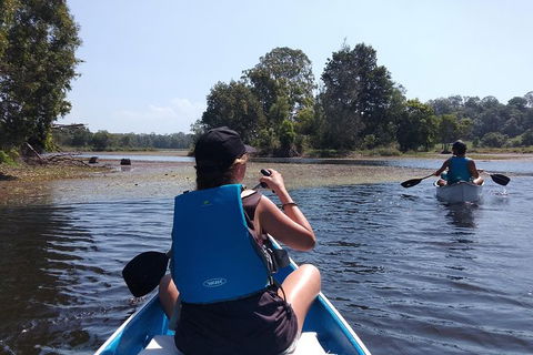 Noosa Hinterland Scenic Canoe Tour - Attractions Sydney 6