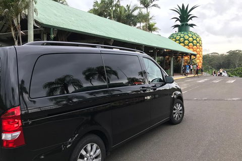 Private Transfer From Sunshine Coast Airport To Noosa For 1 To 7 People - Attractions Sydney 4