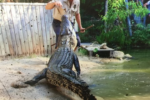 Cairns City Tour - Attractions Sydney 6