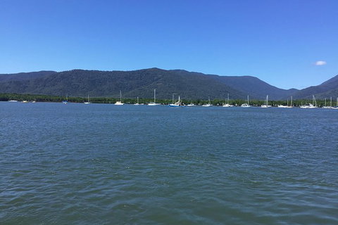 Cairns City Tour - Attractions Sydney 9