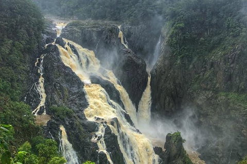Cairns City Tour - Attractions Sydney 8