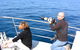 Whale Watching Cruise From Mooloolaba - thumb 2
