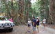 Great Beach Drive 4WD Tour - Private Charter From Noosa To Rainbow Beach - thumb 8